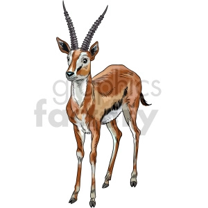 gazelle vector clipart