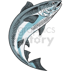 The clipart image shows a stylized illustration of a salmon fish, with a curved body that tapers towards the tail, a pointed snout, and fins on both sides.