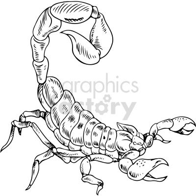 black and white scorpion clipart