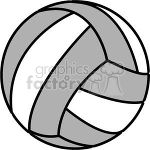 volleyball grey and white