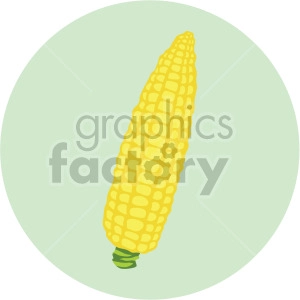 corn on the cob on green circle background