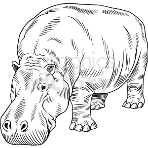 black and white hippopotamus vector clipart