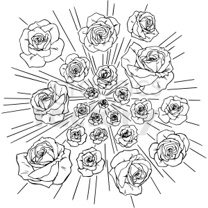 black and white roses exploding vector clipart