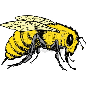 realistic bee vector clipart