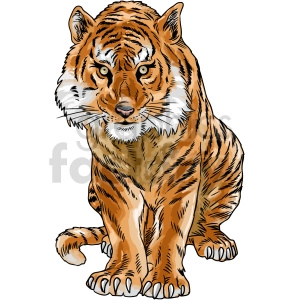 The clipart image depicts a tiger, a large predatory animal with distinctive orange and black stripes. The image is in a vector format, meaning it can be scaled up or down without losing quality.