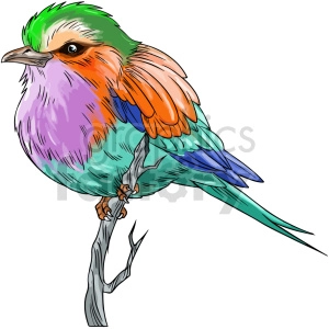The clipart image shows a colorful bird in a vector style. The bird has a round body and a small head with a short beak. It has large wings that are spread out, and its tail is long and pointed. The bird's feathers are depicted in various bright colors, including green, pink, yellow, and blue. Overall, the image represents a stylized and vibrant depiction of a bird.
