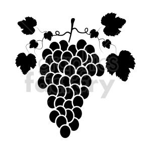 grapes vector graphic 06