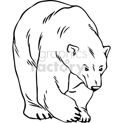 black and white polar bear vector clipart